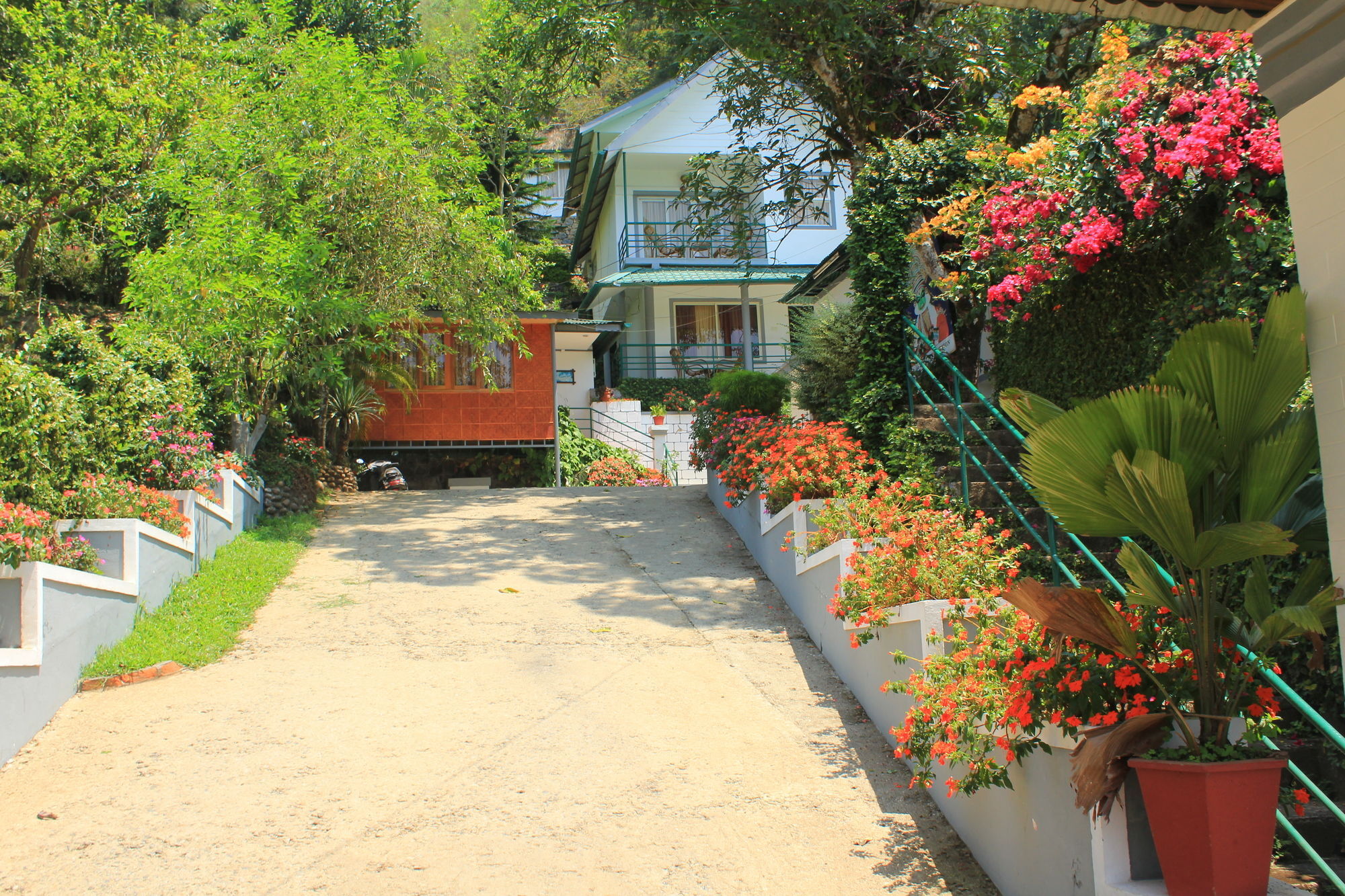 Bellavista Resort ムンナール エクステリア 写真